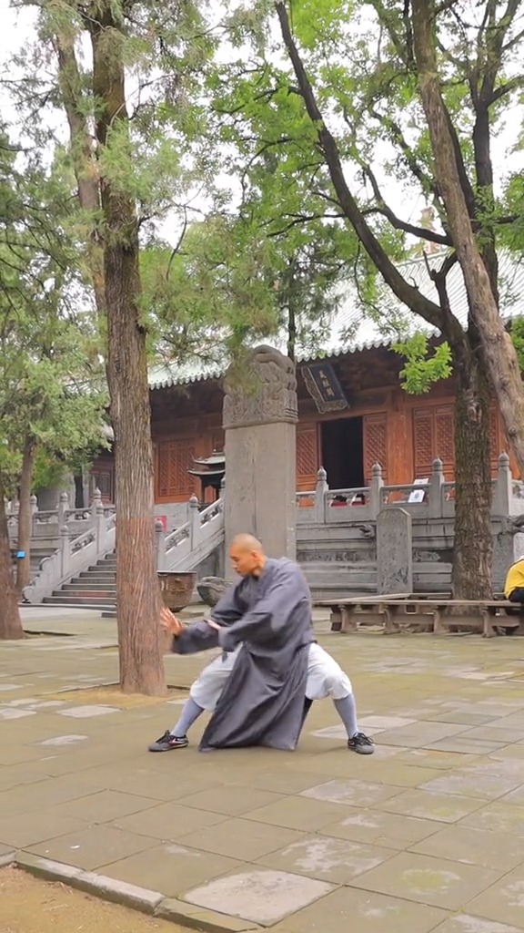 少林功夫#少林寺内家拳,没有过多的大幅度动作-度小视