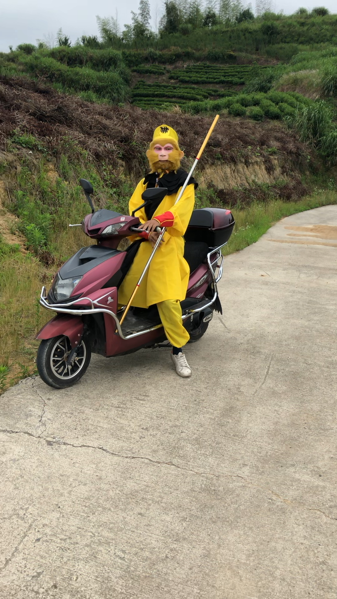 西游记续集猴哥骑车