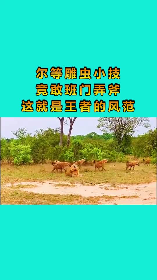 尔等雕虫小技竟敢班门弄斧这就是王者的风范