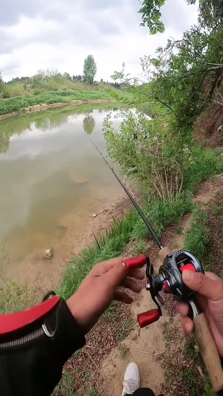 大河不能去只有在小河沟钓钓渣渣红尾鱼太小了如果