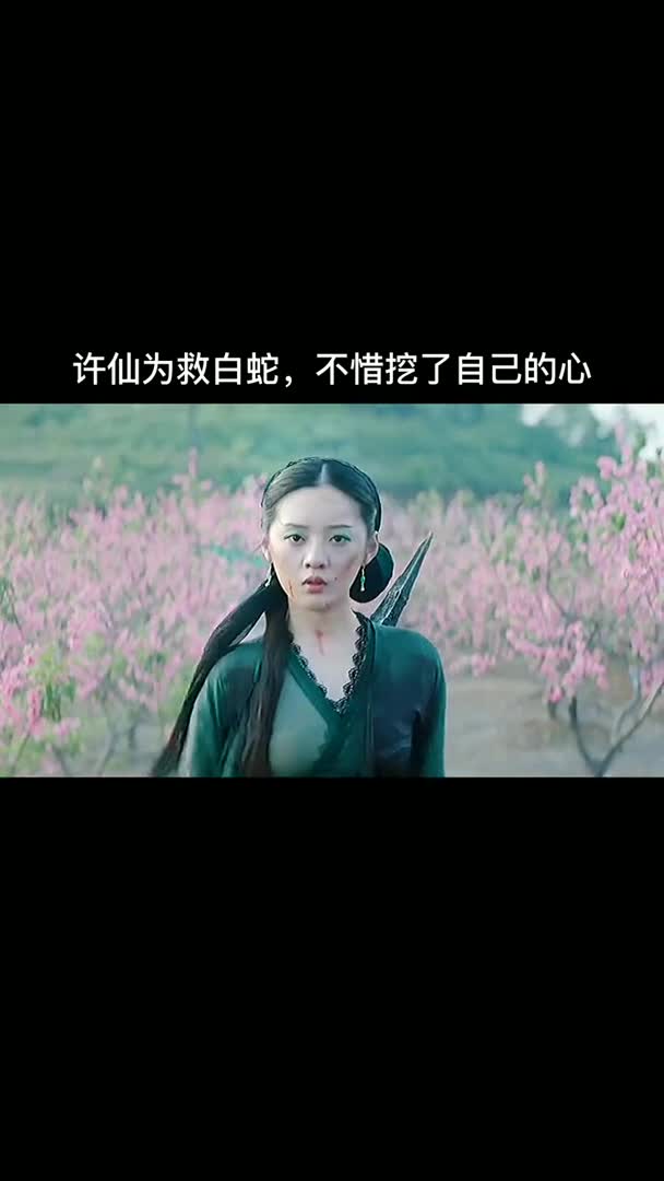 这版许仙太赞了!电影白蛇情劫