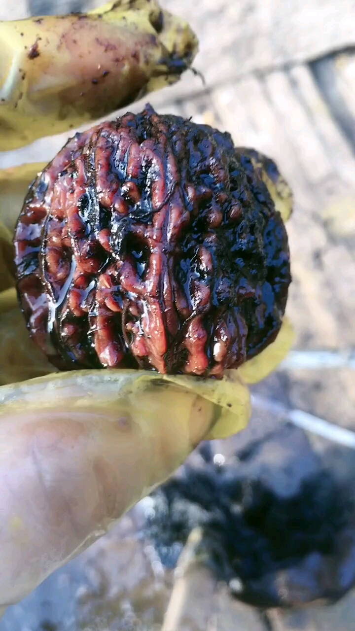 文玩核桃#阴皮了