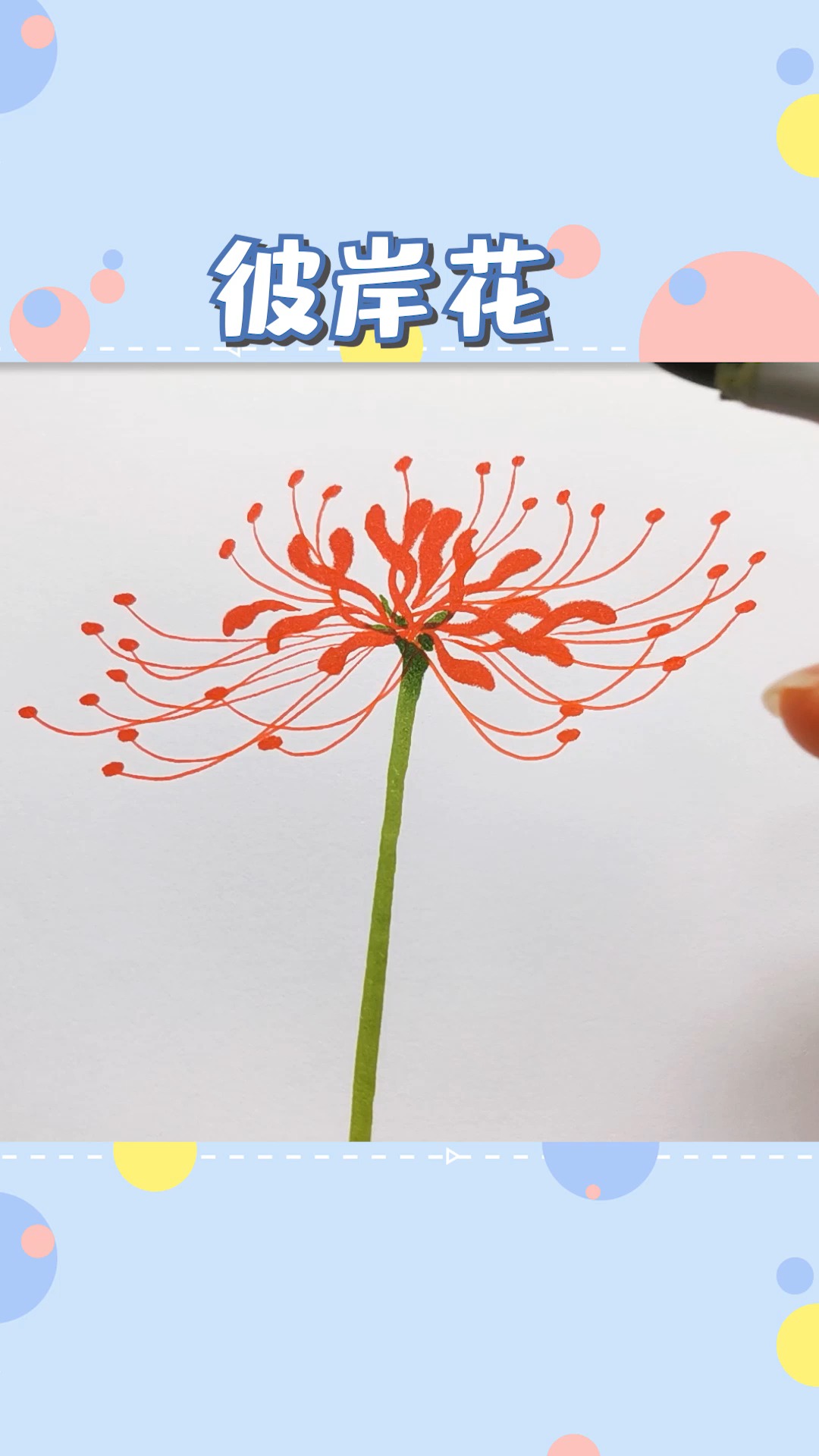 花花开彼岸,花开叶落永不见~~无需打稿,试试直接用马克笔画彼岸花吧!