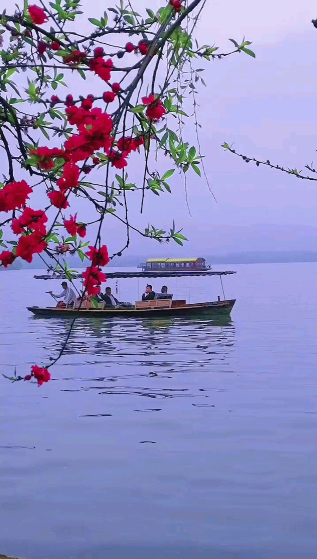我要上热门#又是一春好江南,湖光山色醉眼前.