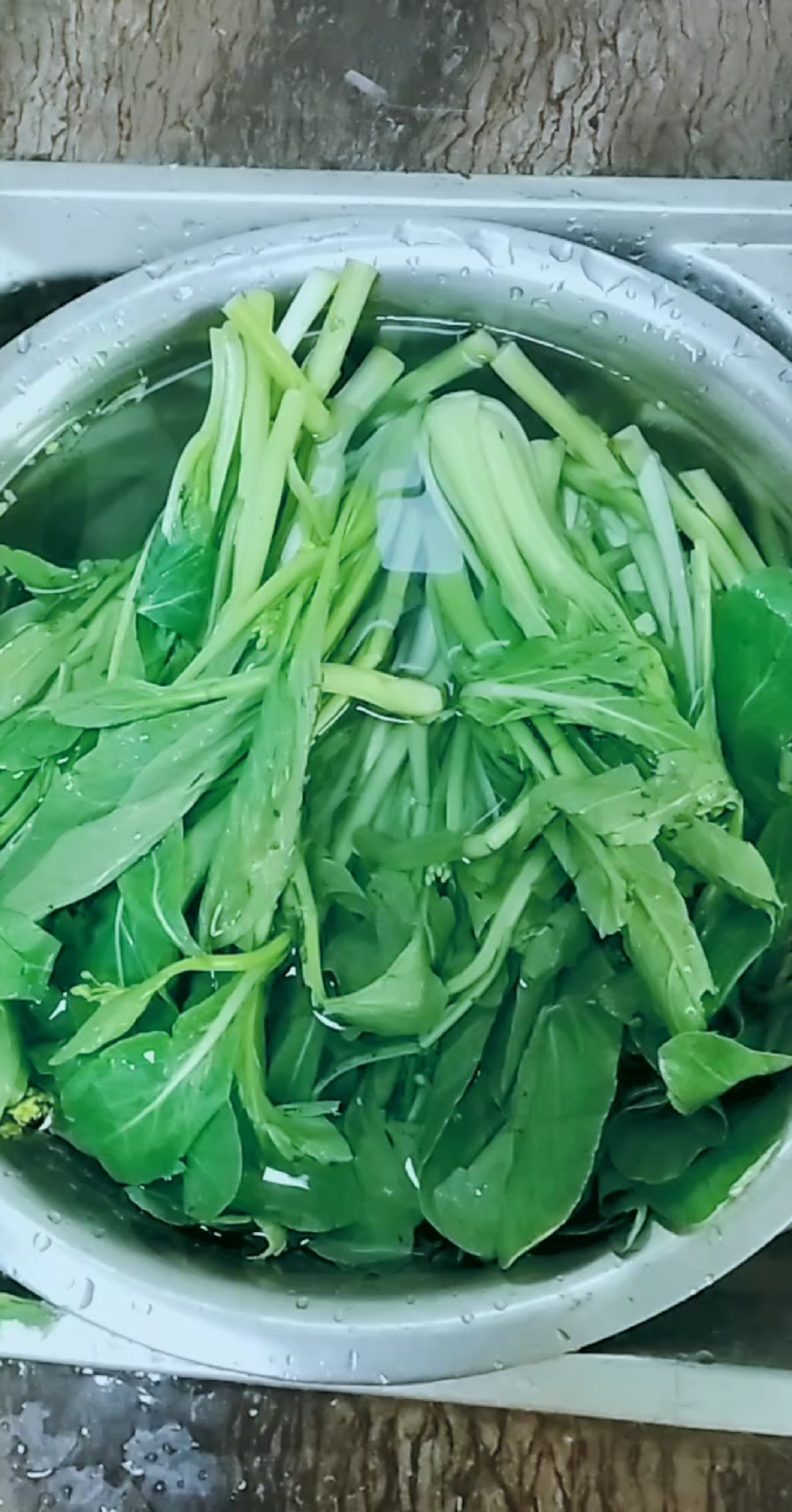 快要憋疯的你#海南的蔬菜真新鲜!