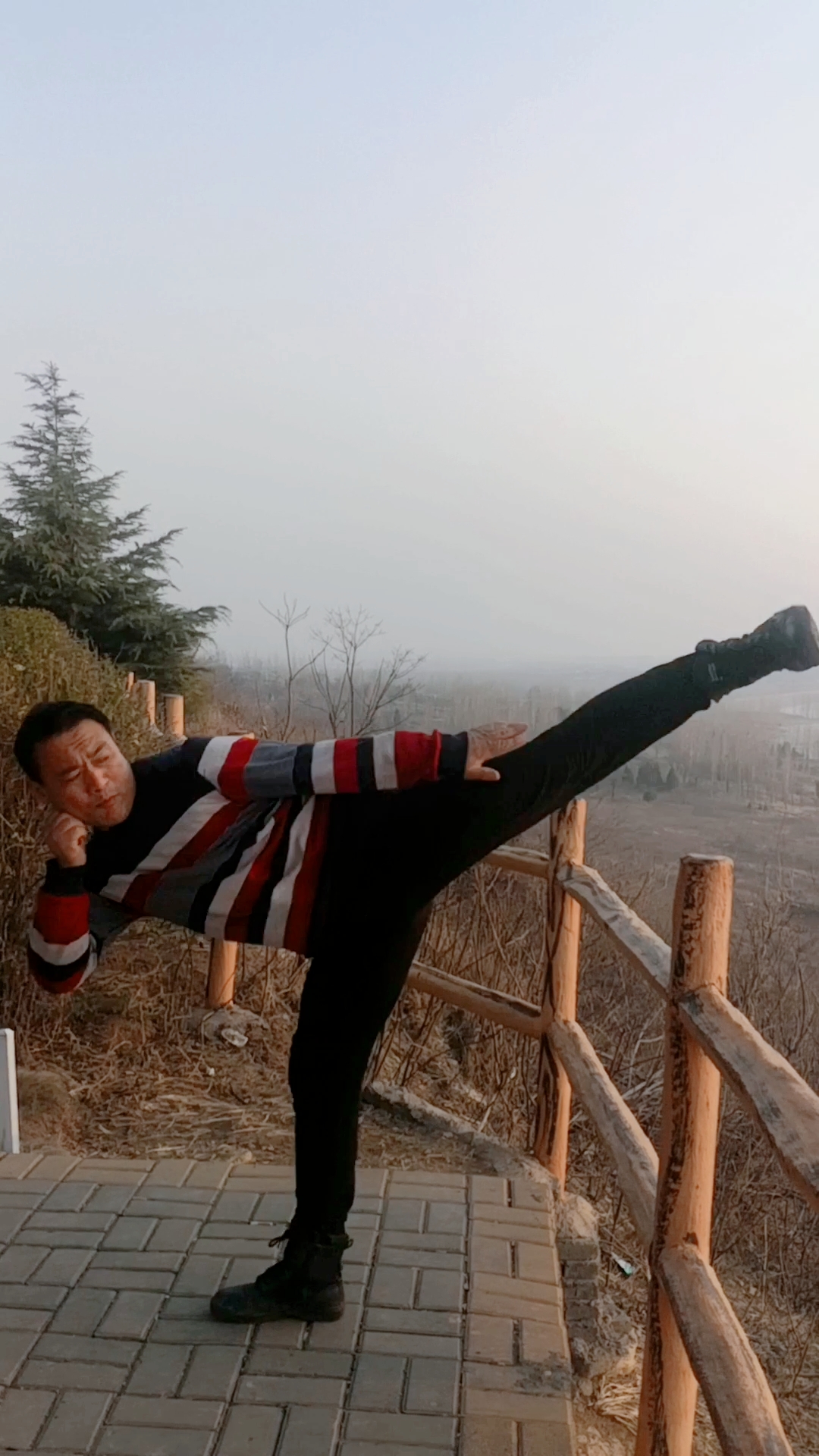 传统散手侧踹腿