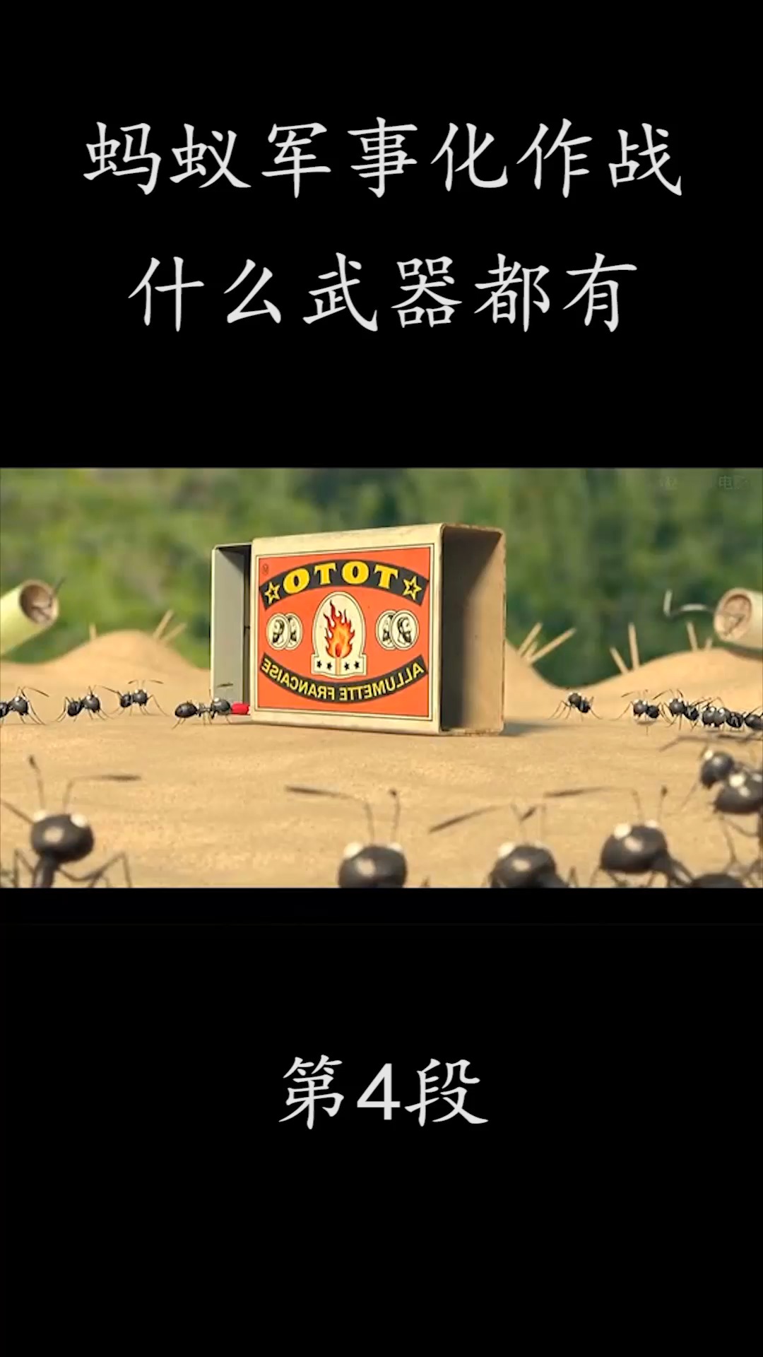 昆虫大战动画片图片