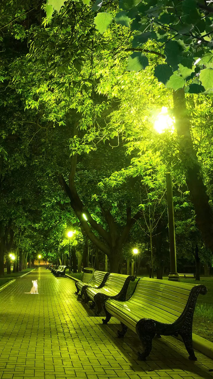 孤独本就是人生常态,你我都不例外,情感,风景,享受孤独