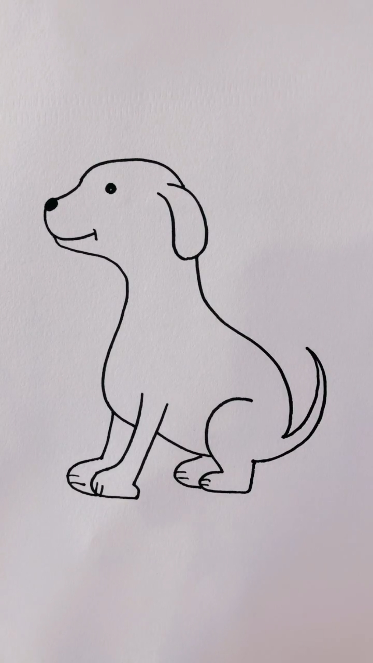 画一只坐着的狗图片