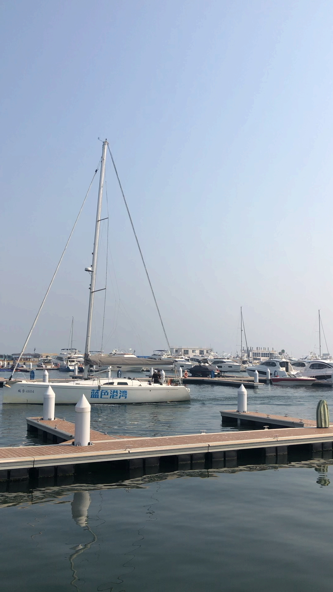 大连东港小帆船.