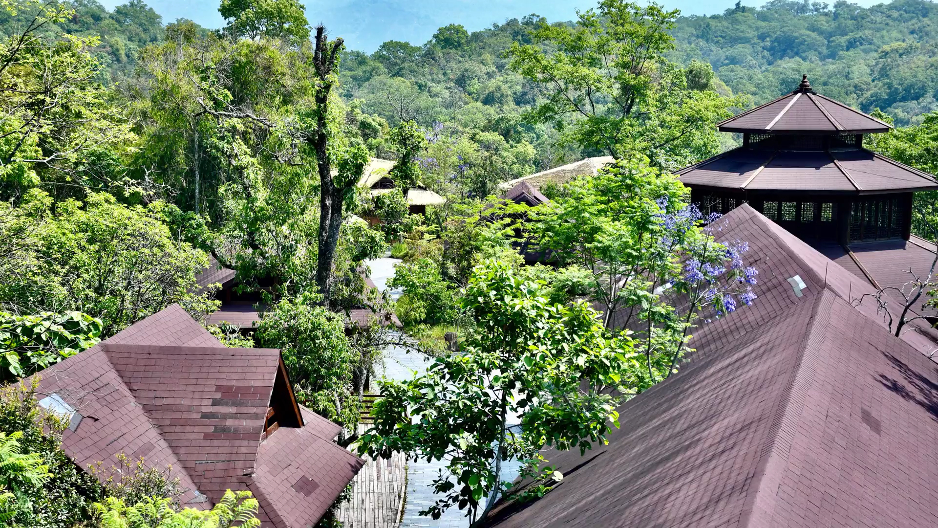 郊游普洱太阳河国家森林公园