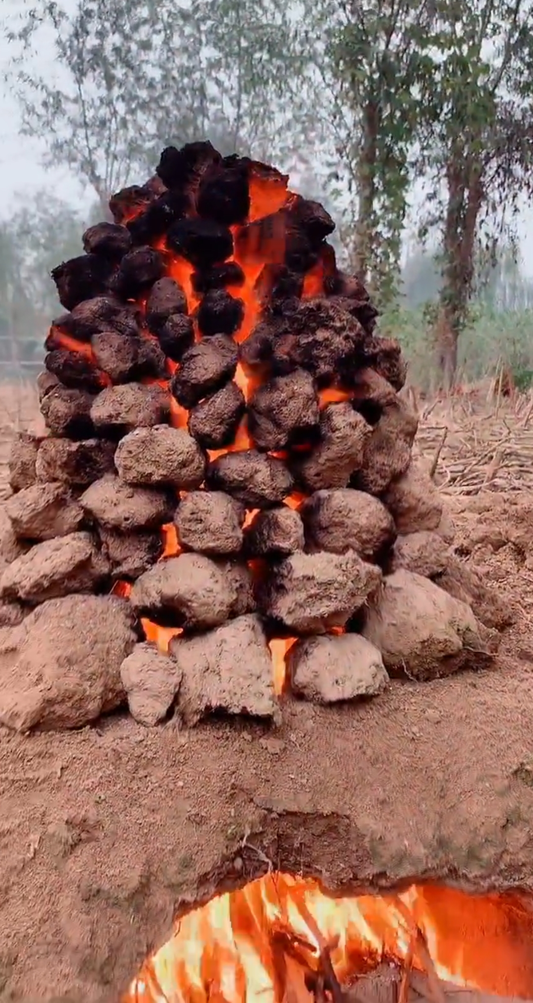 咱农村都是这样烤红薯的,是不是隔着屏幕都闻到香了呢?