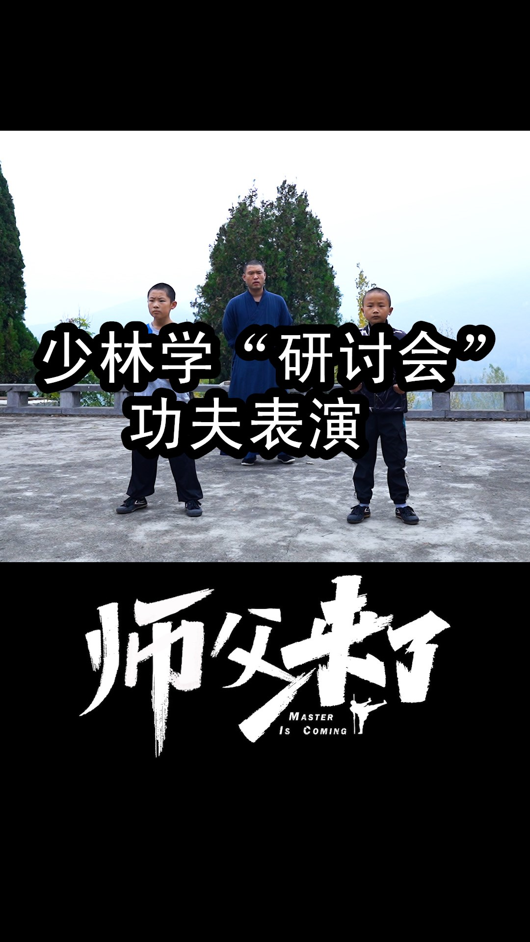 少林功夫十三拳完整版教学