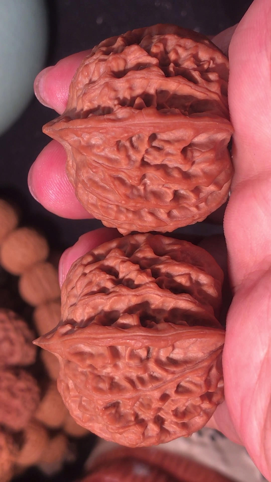 文玩核桃#文玩核桃,元宝野生的,无大果