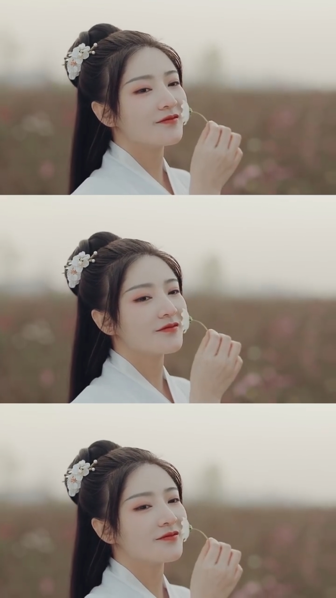 摄影微博: 知竹zz 汉服小仙女微博:杨伊墨