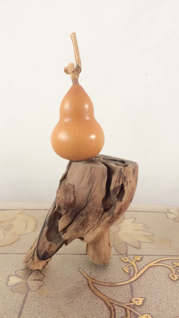 我怎么这么好看#精品葫芦欣赏