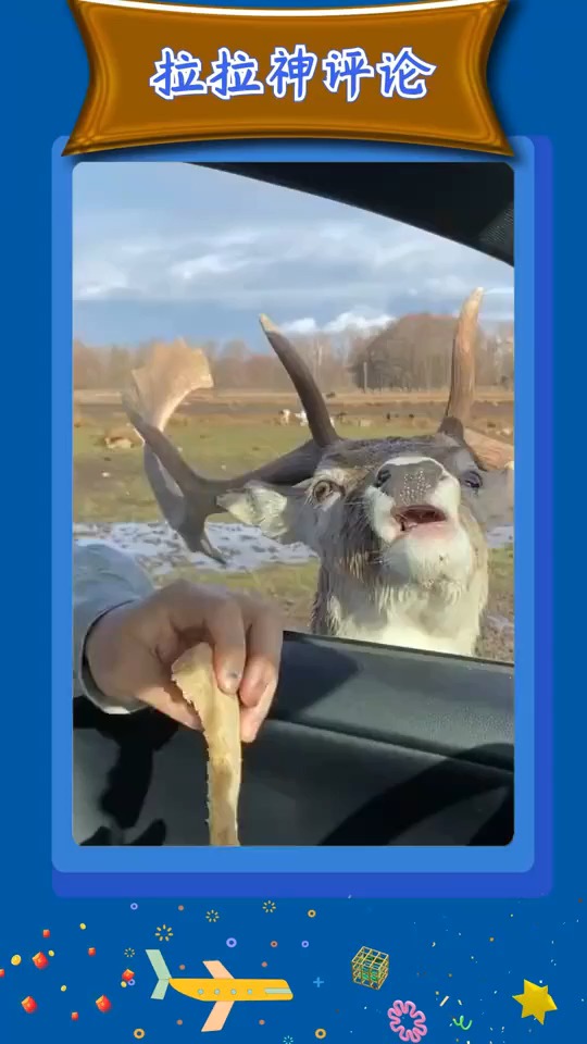 搞笑视频#5_车到山前必有鹿左右逢源填饱肚呲牙呲牙751