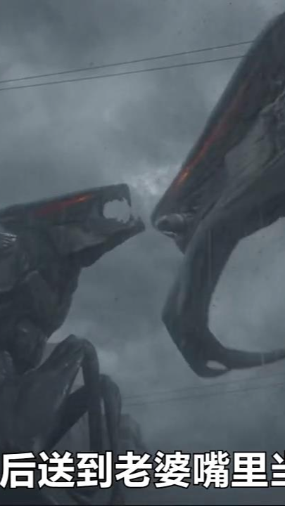 电影解说哥斯拉的儿子哥小拉登场与穆托展开大战