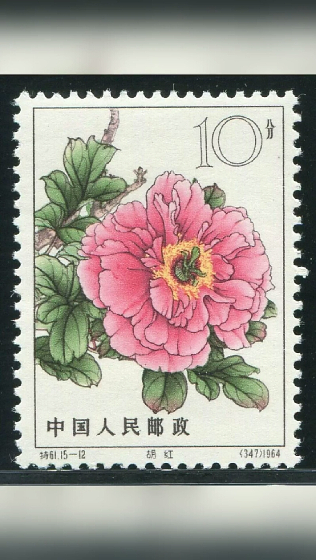 邮票牡丹花