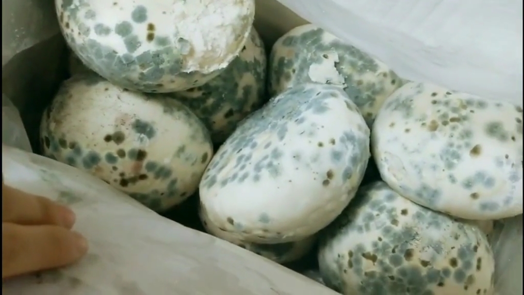 秀出我的家乡味#大馍馍放在车库里一天后就发霉长毛了,把皮剥掉后