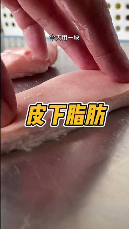 准确而又形象的展示一下皮下脂肪