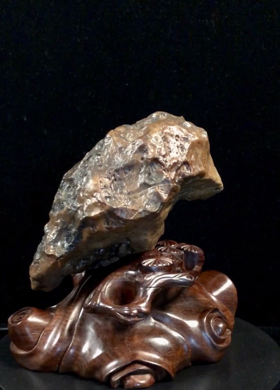 天然奇石#《鹰瞵》涅槃重生.内蒙阿拉善戈壁奇石-沙漠漆-象形石