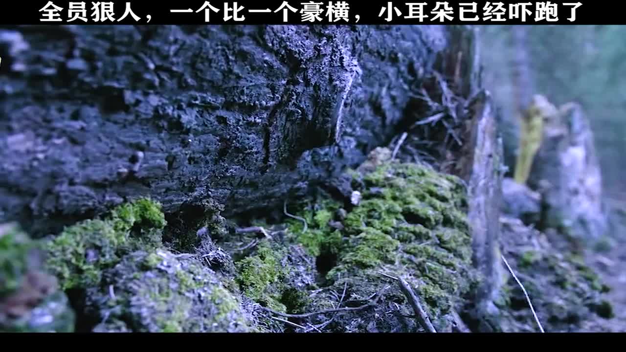 天桥小耳朵看完,吓得已经连夜买票跑路了