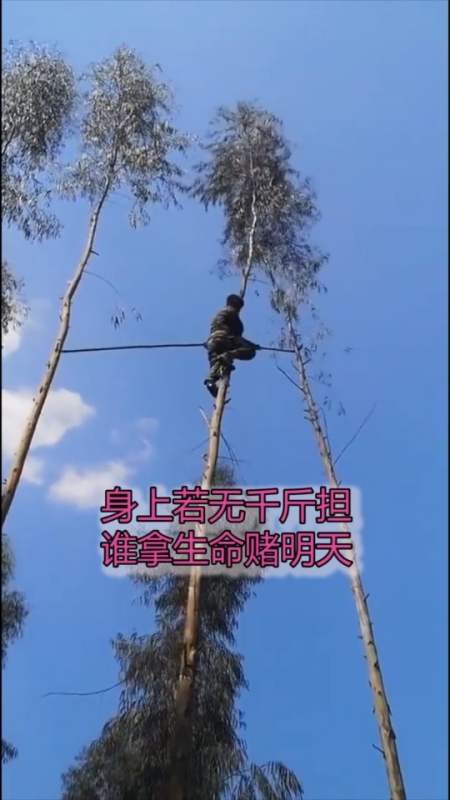 身上若无千斤担?谁拿生命赌明天?-度小视