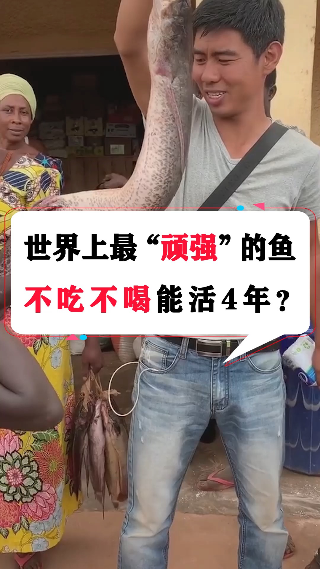 世界上最"顽强"的鱼,不吃不喝能活4年?