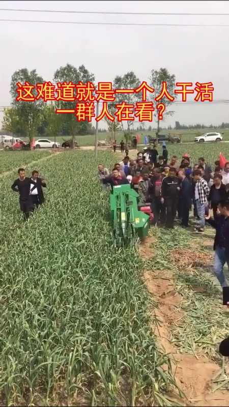 奇闻趣事抢先看#这难道就是一个人干活,一群人在看?