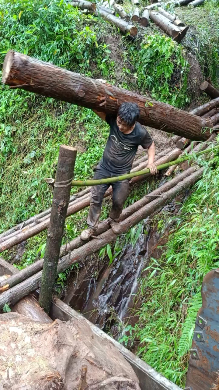 含辛茹苦大山深处的伐木工人.你们还有什么理由说自己累?