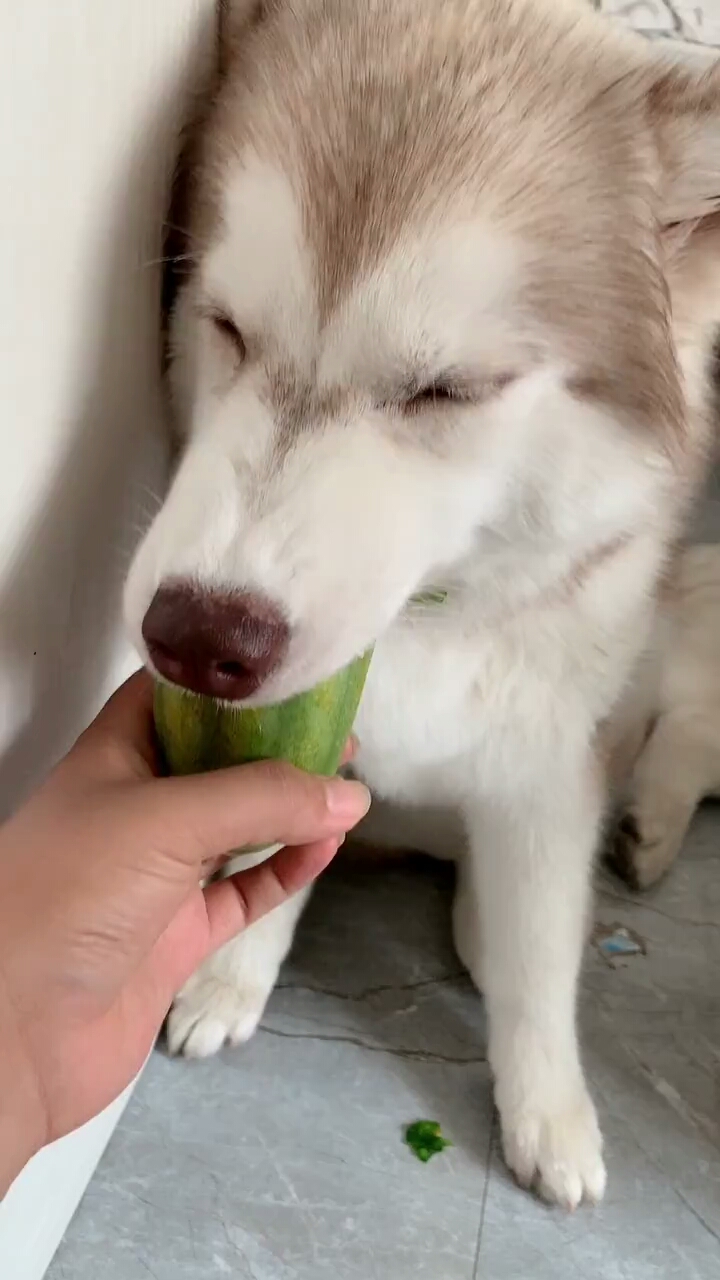 边睡边吃,这是什么操作?