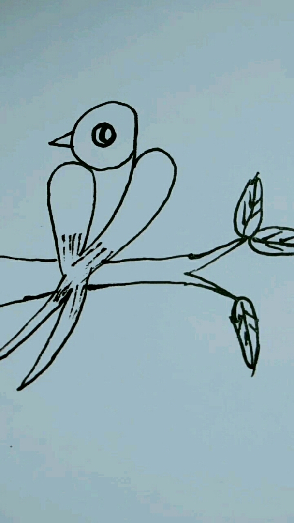 数字简笔画,9画枝头鸟