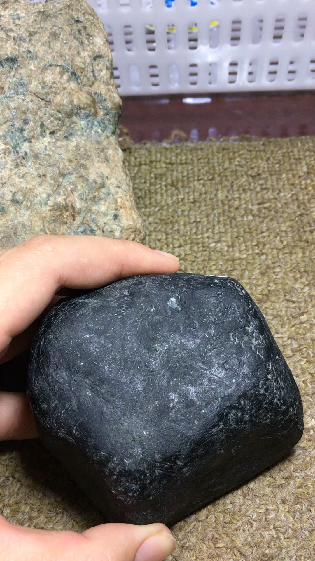 莫湾基黑皮