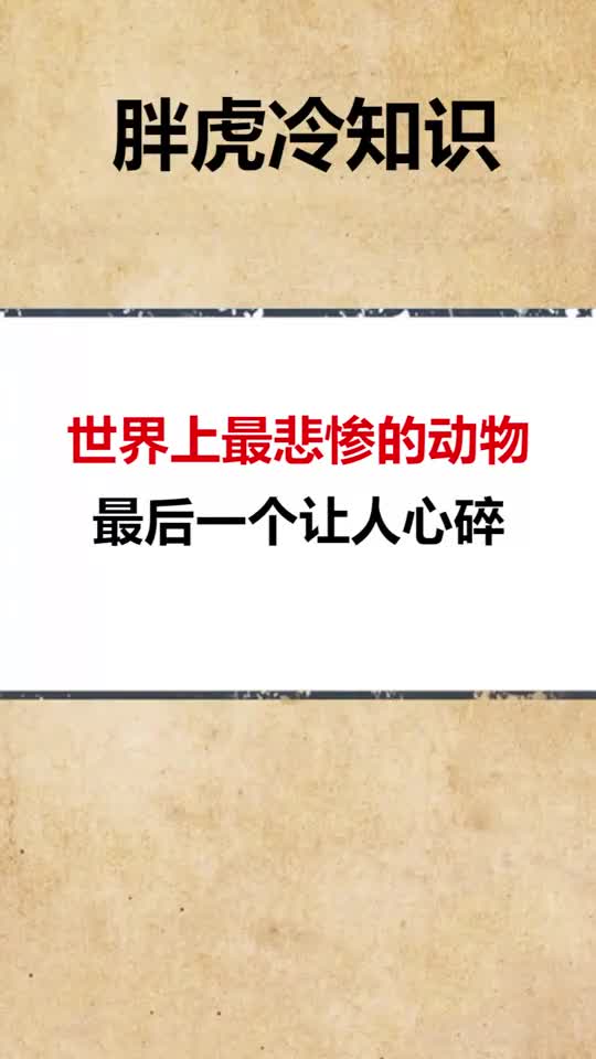 世界上最悲惨的动物最后一个让人心碎