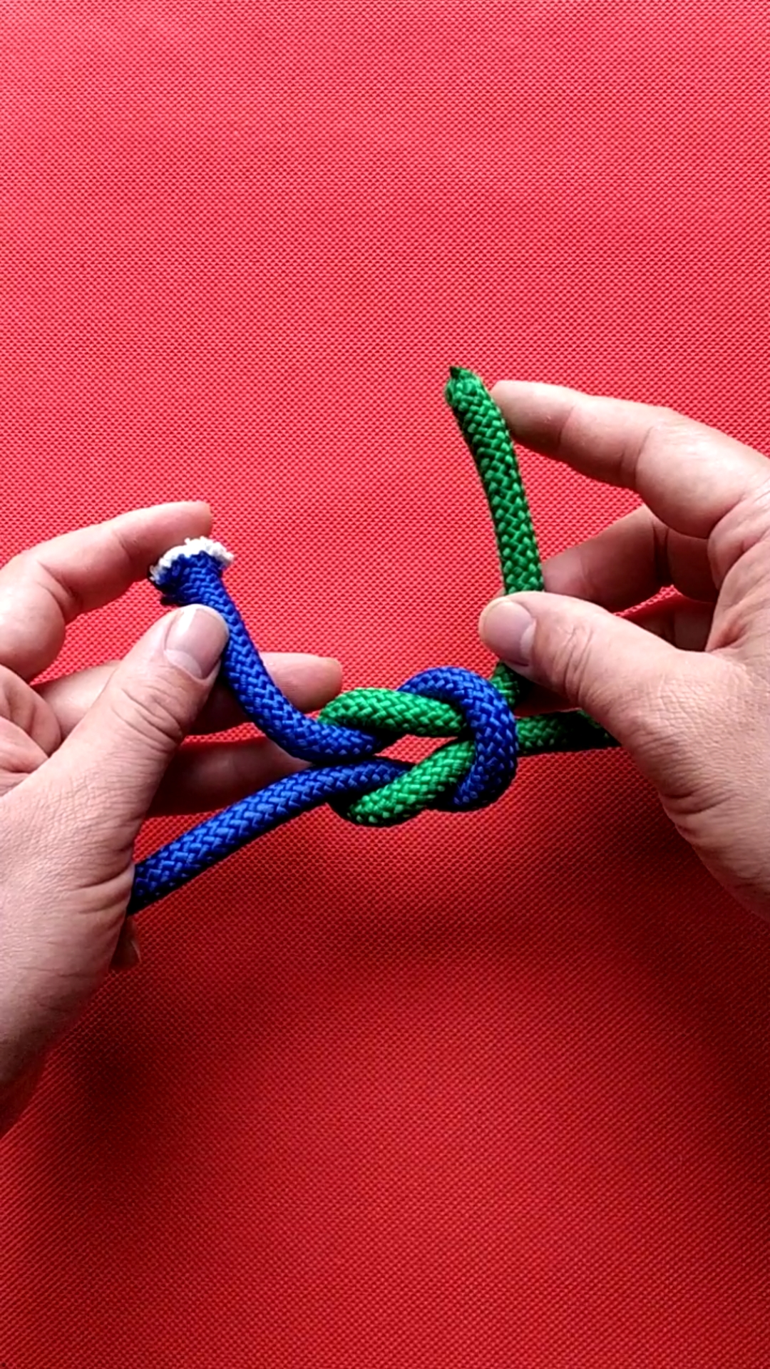 实用绳结#日常生活中常用的两种对接!