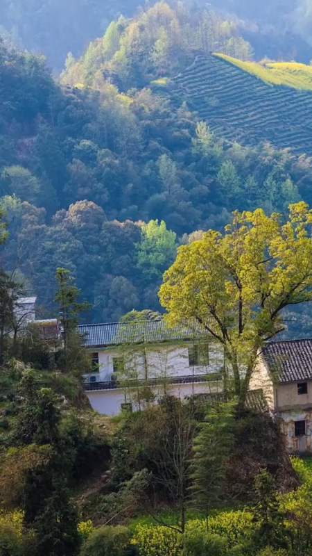 一间老屋几亩良田远离尘嚣与世无争做个俗人童年回忆乡村风景