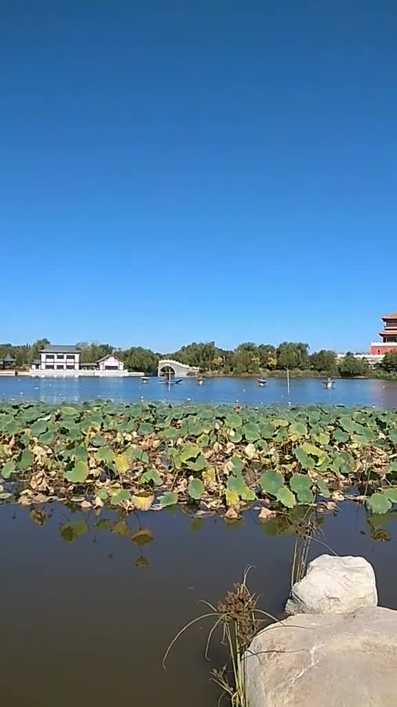 豐潤曹雪芹公園