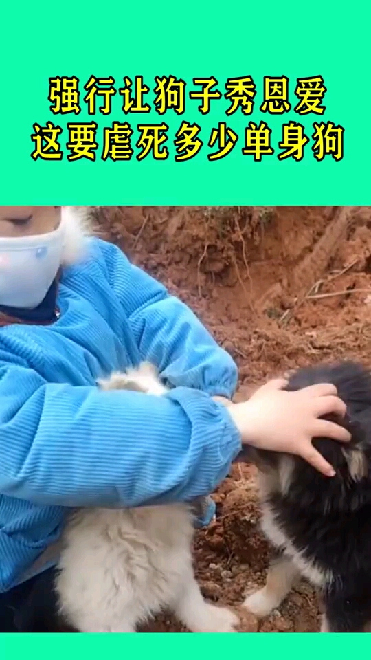 强行让狗子秀恩爱这要虐死多少单身狗啊