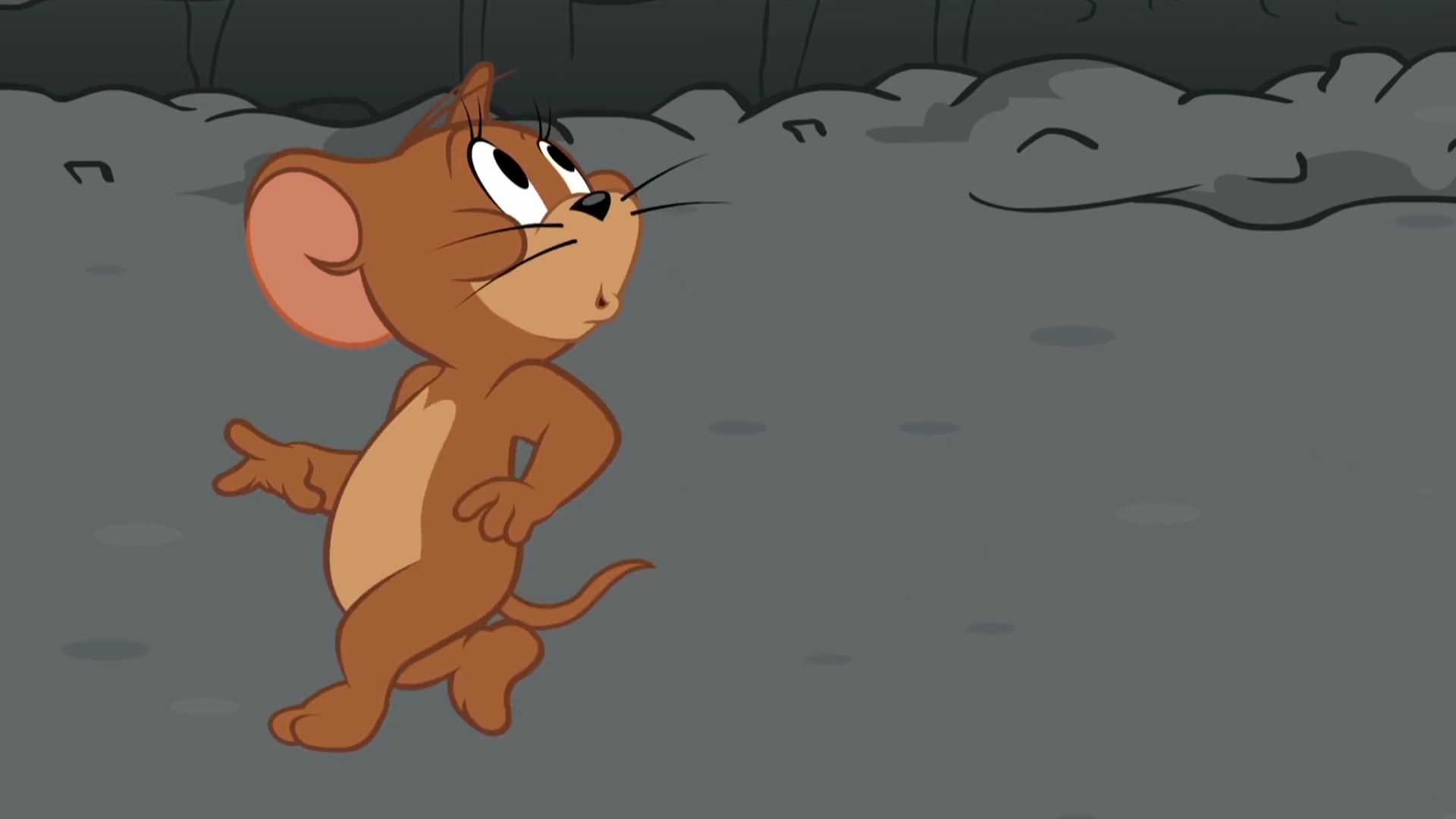 动漫#汤姆把毛毛牙拽掉 毛毛暴怒 把汤姆一脚踢飞