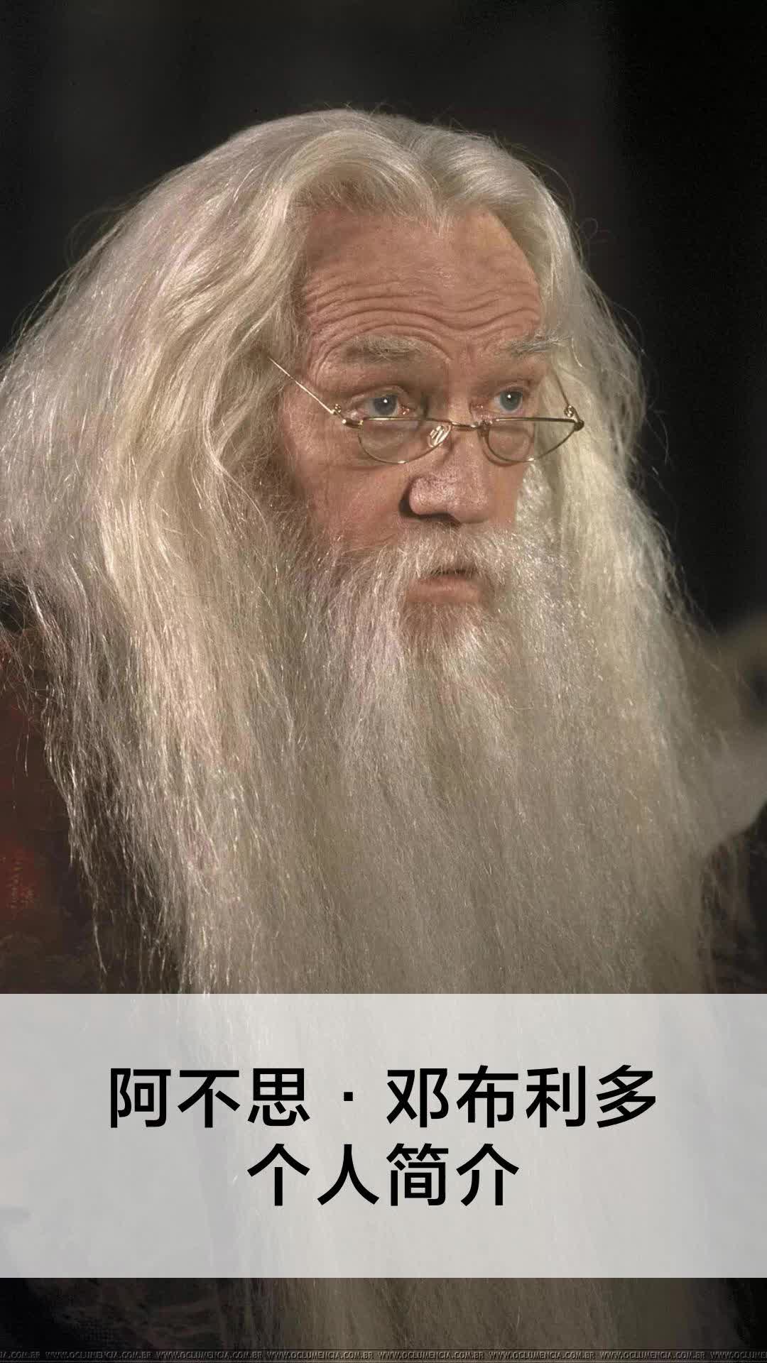 阿不思·邓布利多个人简介