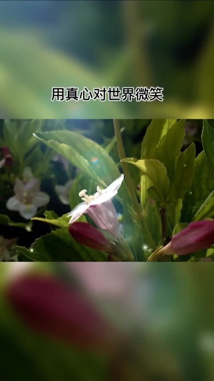 善良的图片温暖图片