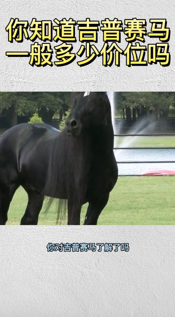 你知道吉普赛马一般多少价位吗-度小视