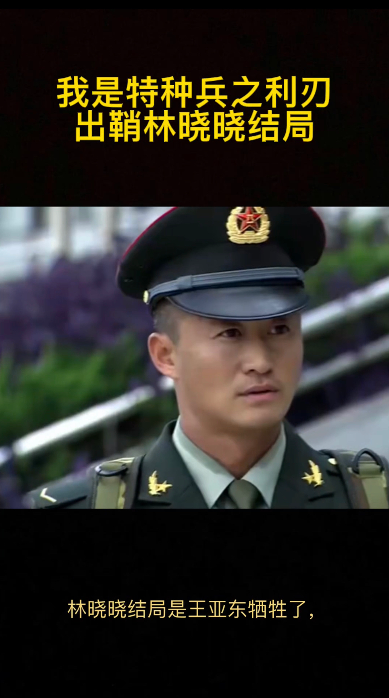 我是特种兵之利刃出鞘林晓晓结局