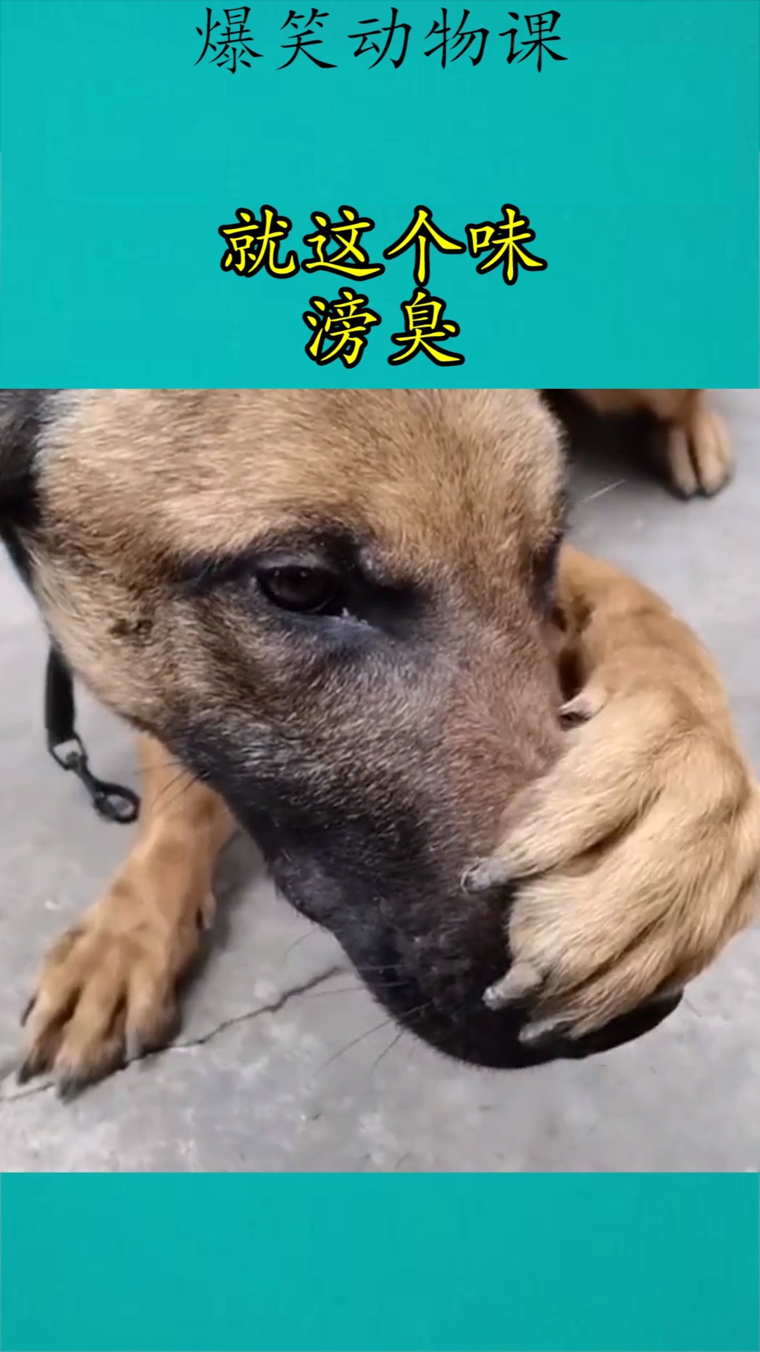 我要上热门#就这个味,滂臭