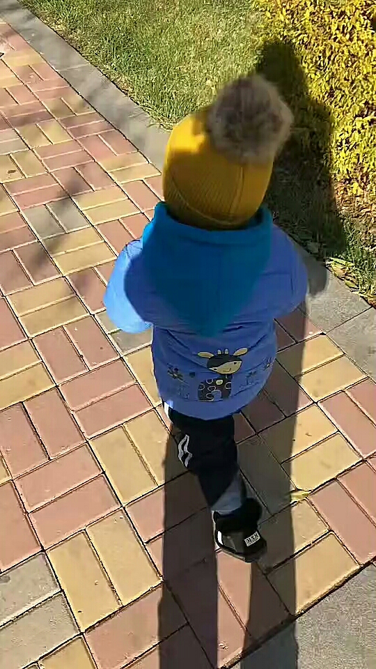 我们出去溜溜了