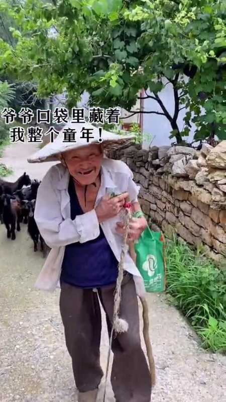 小时候每天爷爷放羊回来,口袋里藏着永远是惊喜,看到爷爷笑着走向我