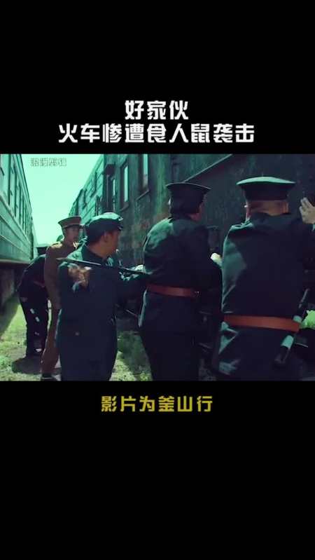 好家伙,火车惨遭食人鼠袭击,人往往在困难面前都是自私的!