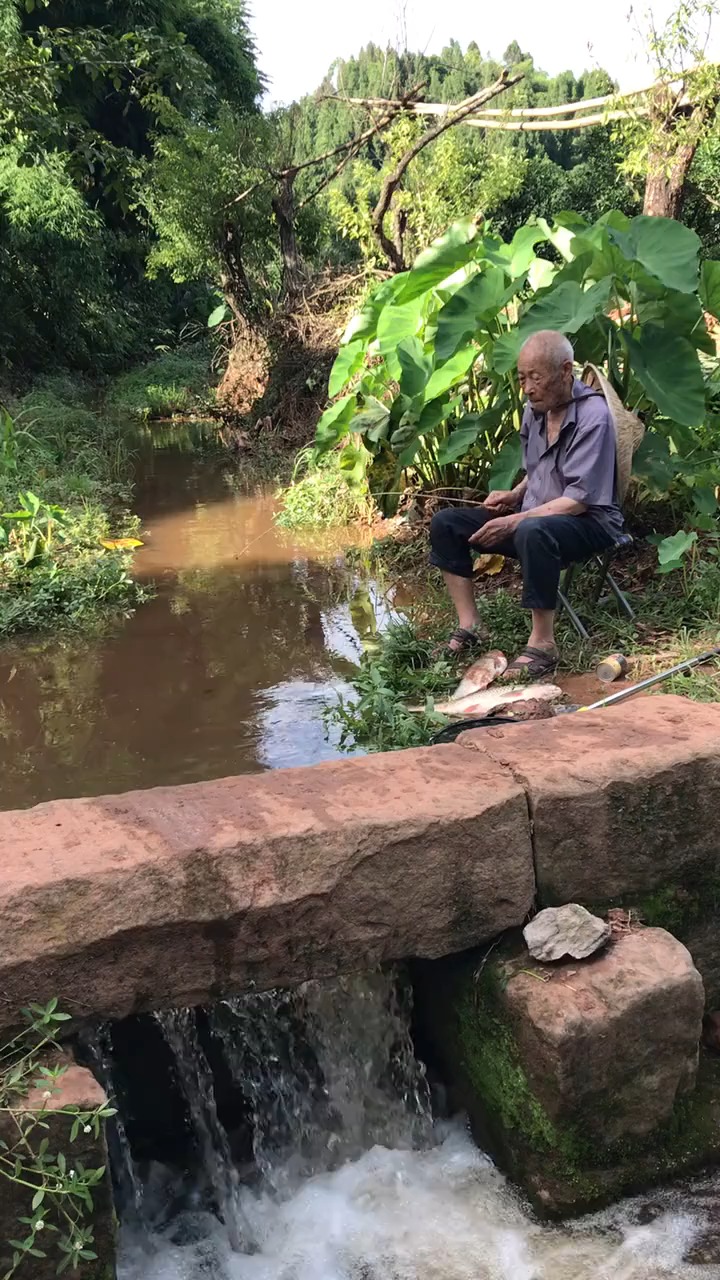 老爷爷爱钓鱼,小溪旁钓鱼