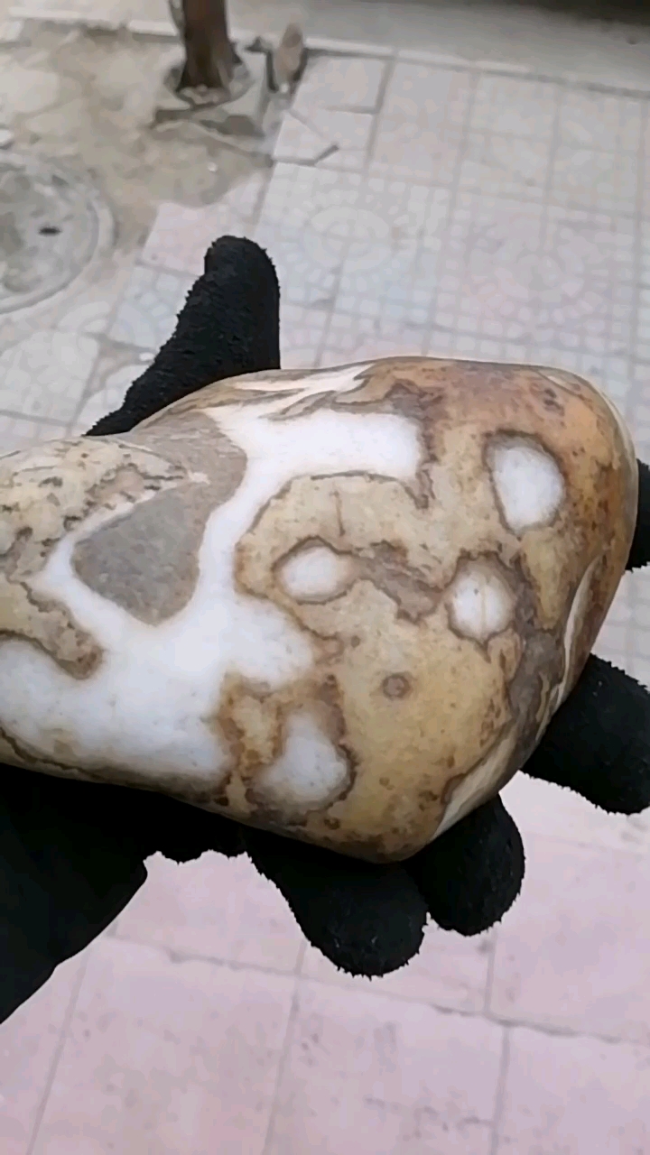 唐河彩玉籽料,招财蟾,摆件